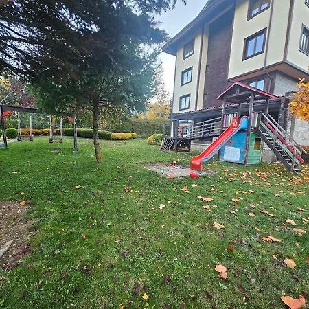 Azax In Terra Complex * バンスコ